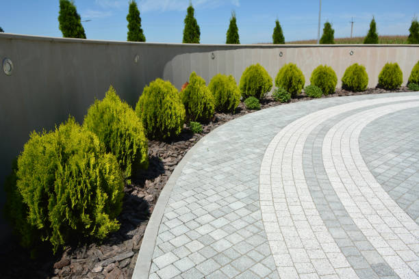 Reasons to Select Us for Your Driveway Paving Requirements in Ridgewood, NJ